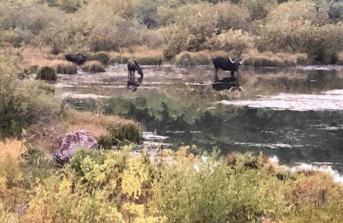 East Glacier Park House | Pond property with great views 12 miles from Two Medicine entrance of GNP