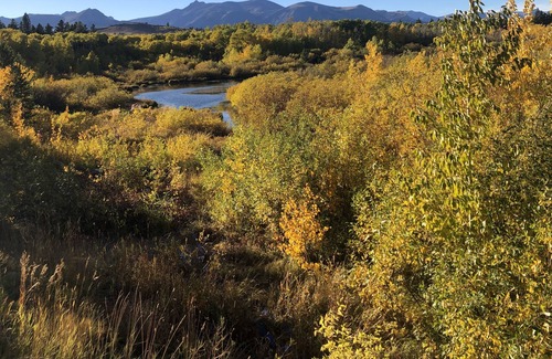 East Glacier Park House | Pond property with great views 12 miles from Two Medicine entrance of GNP