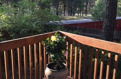 Ponderosa Trails House | Ponderosa Pines: Flagstaff's home away from home