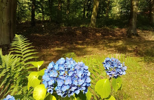 Kenwick Cabin | Poppy Lodge, Kenwick Park Woods, near Louth, Lincolnshire
