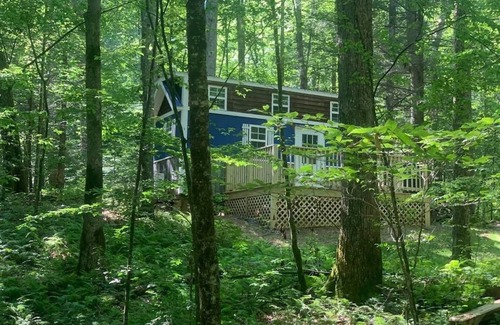 Suches Cottage | Porcini - Creekside Tiny House #2
