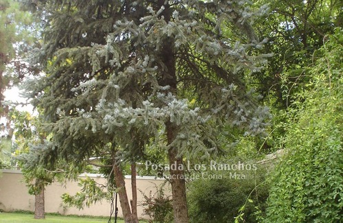 Chacras de Coria House | Posada Los Ranchos - Chacras de Coria