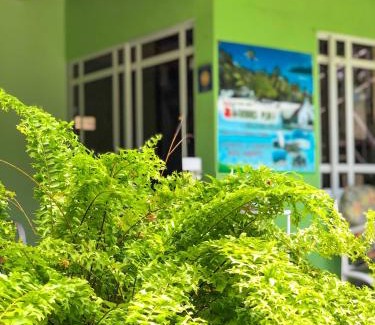 Punta Hansa Hotel | Posada Nativa Bernard Place