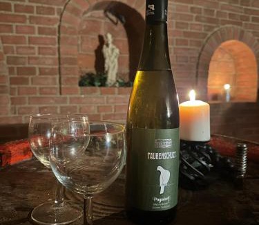 Milovice House | Prázdninový dům na Pálavě s vinným sklepem