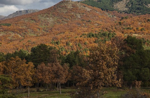 Rascafria Ski Chalet | Preciosa Casa de Campo Para Disfrutar del Valle del Lozoya con un Inmenso Jardín