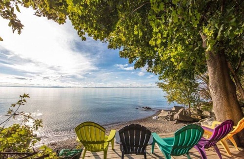 Town of Essex Cabin | Premiere Oxley Cottage in the Heart of Wine County