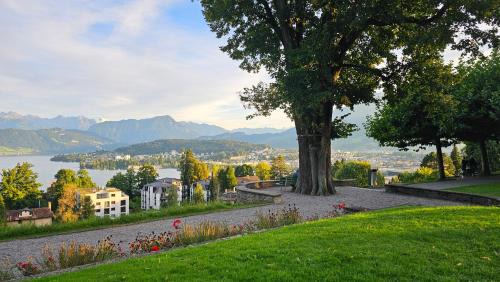 Lucerne Apartment | Premium Apartment mit Pilatus Sicht