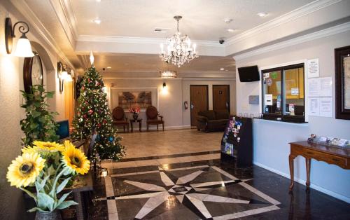 Killeen Hotel | Premium Inn and Suites