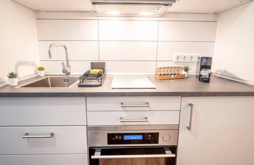 Mannheim Apartment | Premium Studio 1 Min to HBF
