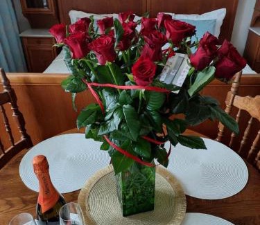 Srodmiescie Apartment | Prestige Aparthotel Piotrkowska 82 - wyjątkowy widok na deptak