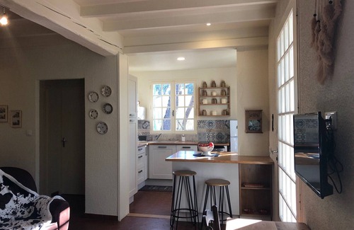 Mornas House | Pretty holiday home in the middle of a pine forest with fully enclosed garden.