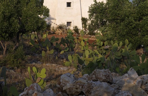 Torre Vado Villa | Prickly Pear Villa with pool