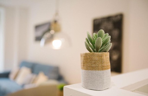 San Sebastian Centro Apartment | PRIM 26