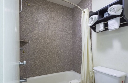 Three Rivers House | Prime Location, 4 Great Units w/Free Parking, Minutes to Tip's Park