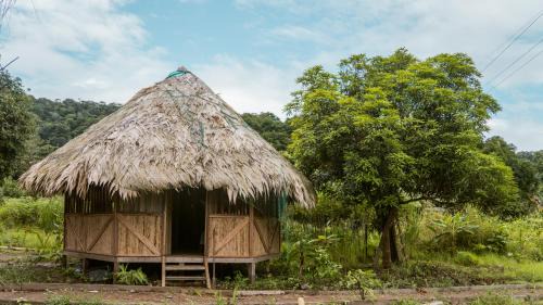 Bahia Solano House | PRIMITIVO LODGE & dive center