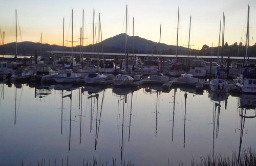 Bayside Acres Apartment | Pristine Studio—Walk to SF Bay & State Park! With A/C!
