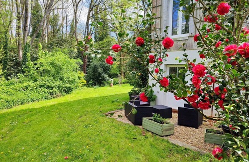 Tourville-sur-Pont-Audemer Apartment | Private flat in 1803 house with 5 ha garden + woods, 30 mns drive from Honfleur.