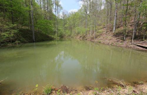 Bays House | Private 600 Acres WiFi Hot Tub Wolf Pen