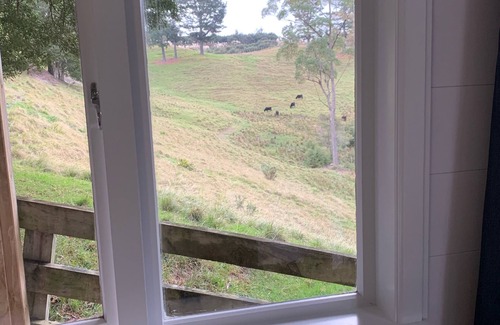 Whangarei Cabin | Private Cabin minutes drive from the city centre and local tourist attractions