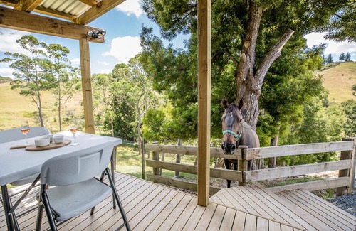 Whangarei Cabin | Private Cabin minutes drive from the city centre and local tourist attractions