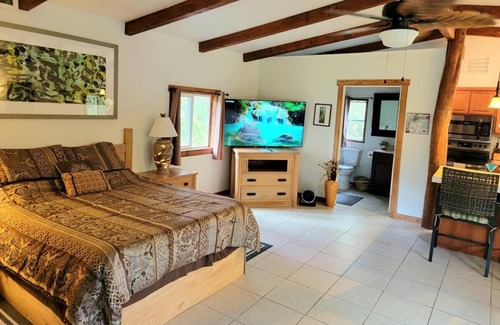 Pahoa Apartment | Private Cabin Suite/ SPA see LAVA at Volcano National Park