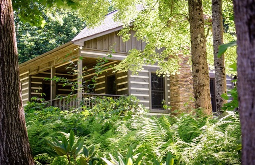 Laurel Fork Cabin | Private, On 53 Acres, Blue Ridge Parkway Access