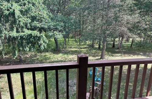 New Chester House | Private, Quiet 3 Bedroom Home near Patrick Lake