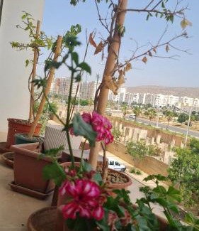 Cite Al Mohammadi House | Private room in a shared apartment with pool