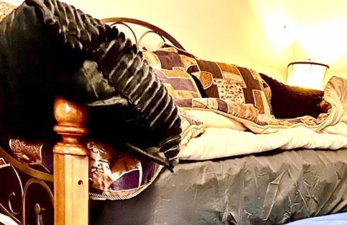 Schertz Apartment | Private Studio Nest