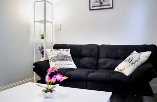 Sulphur Springs Apartment | Private Suite near Busch Gardens/Adventure Island/USF