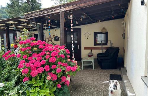Osterspai House | Privatzimmer mit eigenem Bad und Blick auf den Rhein
