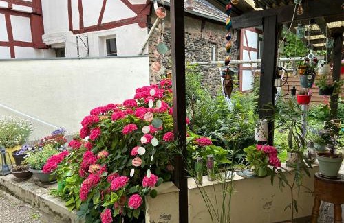 Osterspai House | Privatzimmer mit eigenem Bad und Blick auf den Rhein