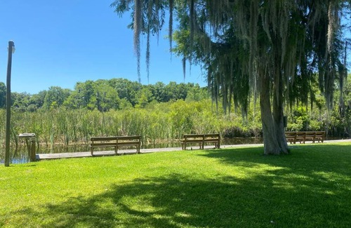 Crystal River Apartment | Professor Rousseau's Palm Paradise