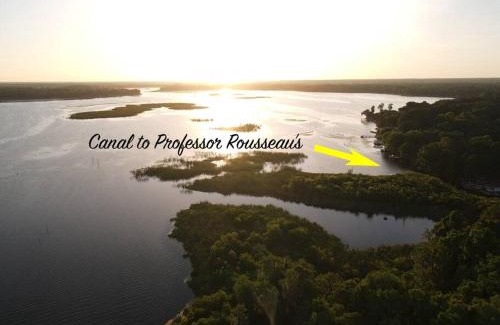 Crystal River Apartment | Professor Rousseau's Palm Paradise