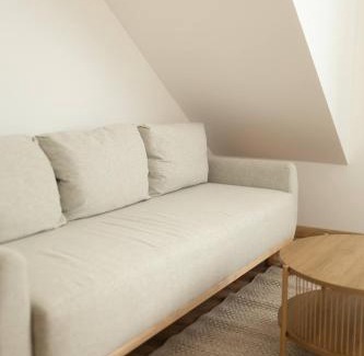 Cerna V Posumavi Apartment | Prostorný podkrovní apartmán s výhledem