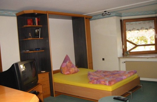 Dietlingen Apartment | Proximity to the gold city of Pforzheim + Karlsruhe. The apartment with a view of the vineyard😆
