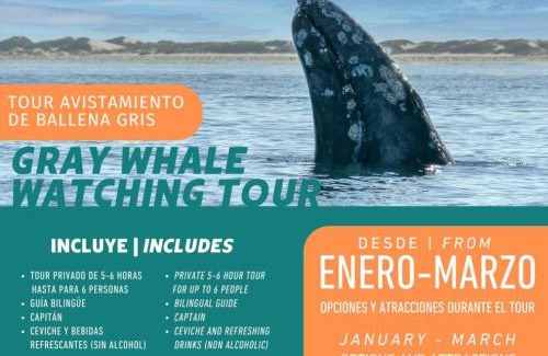 Puerto San Carlos House | Puerto San Carlos Bay House & Tours -1st & 2nd Floor-