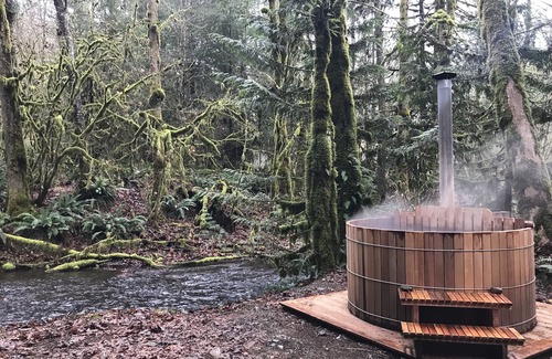 Maple Falls Cabin | Pull out and relax in the Retro Cabin