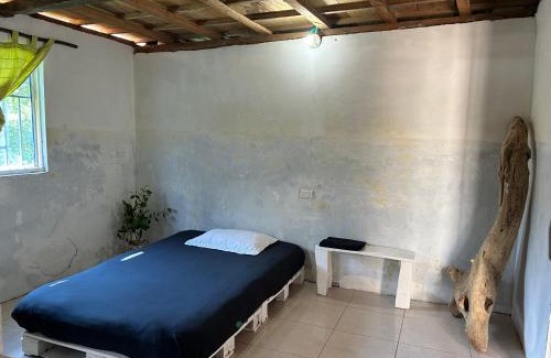 Tierra Bomba Island House | Punta Arena EcoHostal & EcoFit - Your Eco-Friendly Oasis 01