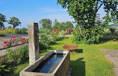 Wuchzenhofen House | Pure nature in the Allgäu - FERIENHOF STEINBÜHL with a wide view near CENT. PARKS