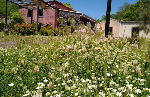 Mascali Apartment | Purple in the park: where to listen to silence and watch the stars