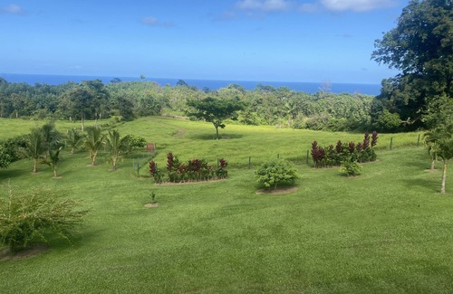 Papaikou Apartment | Puumoi ocean view hideaway