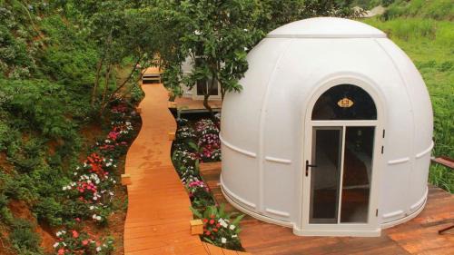 Da Lat Hotel | Q Village Homestay Đà Lạt