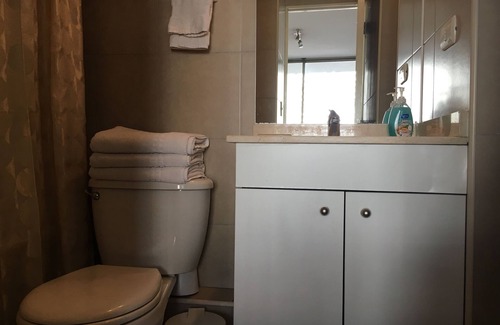 Downtown Santiago Apartment | Quadruplex Apartment