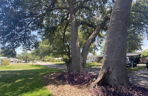Fairview Shores House | Quaint 3 BR Home in Winter Park/Orlando with Large Yard