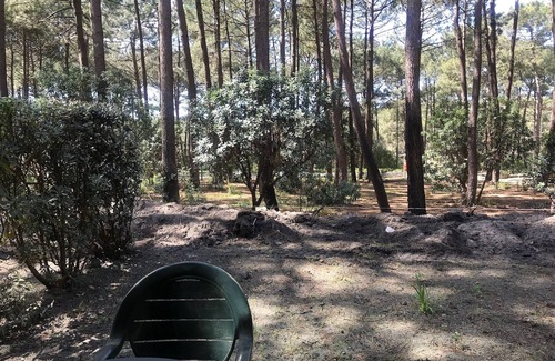 Lacanau-Ocean Apartment | Quiet apartment in a pine forest, close to golf courses and cycle path