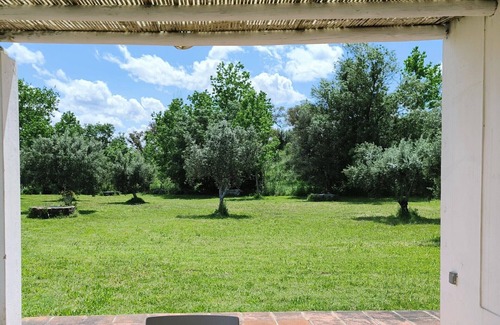 Santiago do Cacem House | Quiet detached country house, countryside &coast 22km, shared pool, restaurant.