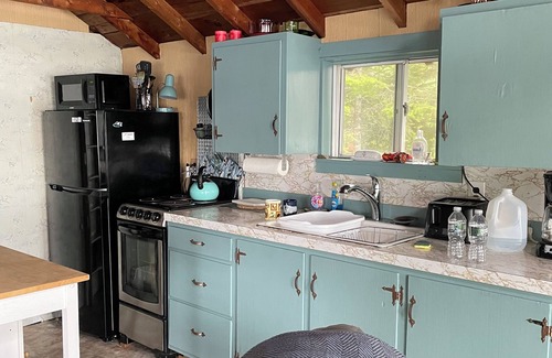 Penobscot Cabin | Quiet Lakeside Cabin Nestled under Huge Pine