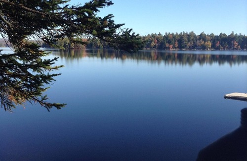 Penobscot Cabin | Quiet Lakeside Cabin Nestled under Huge Pine