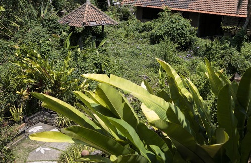 Ubud City-Centre Apartment | Quiet, Luxury Sawo Apartment 2 at Murni's Houses and Spa, Ubud, Bali